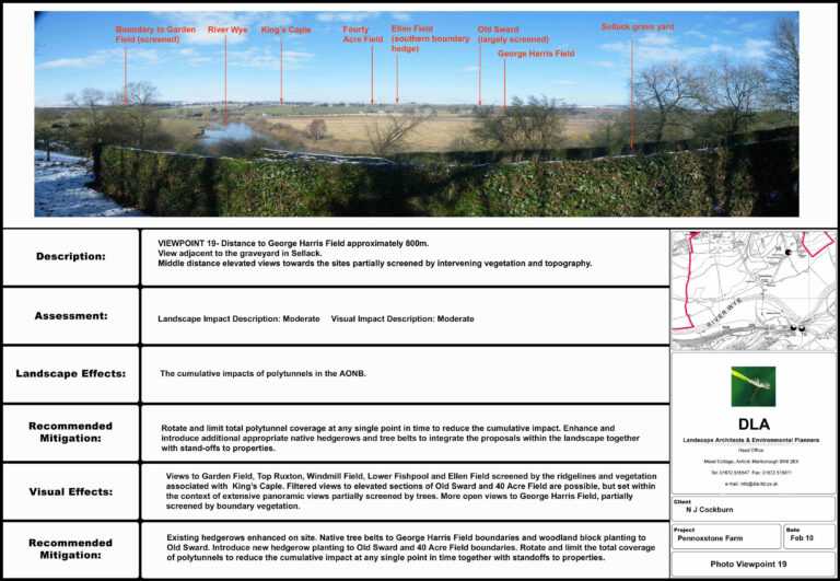 report-example-of-environmental-assessment-act-terms-in-within