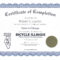 Sample Certificate Of Completion | Certificate Templates With Certification Of Completion Template