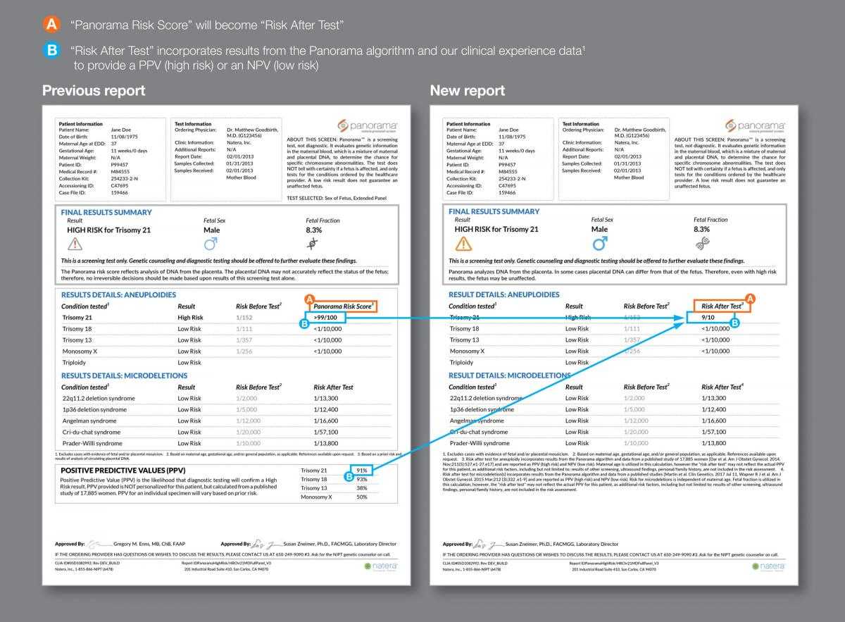 Sample Report Examples For Panorama Intended For Dr Test Report Template