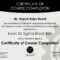 Six Sigma Black Belt Certificate Template – Carlynstudio With Green Belt Certificate Template