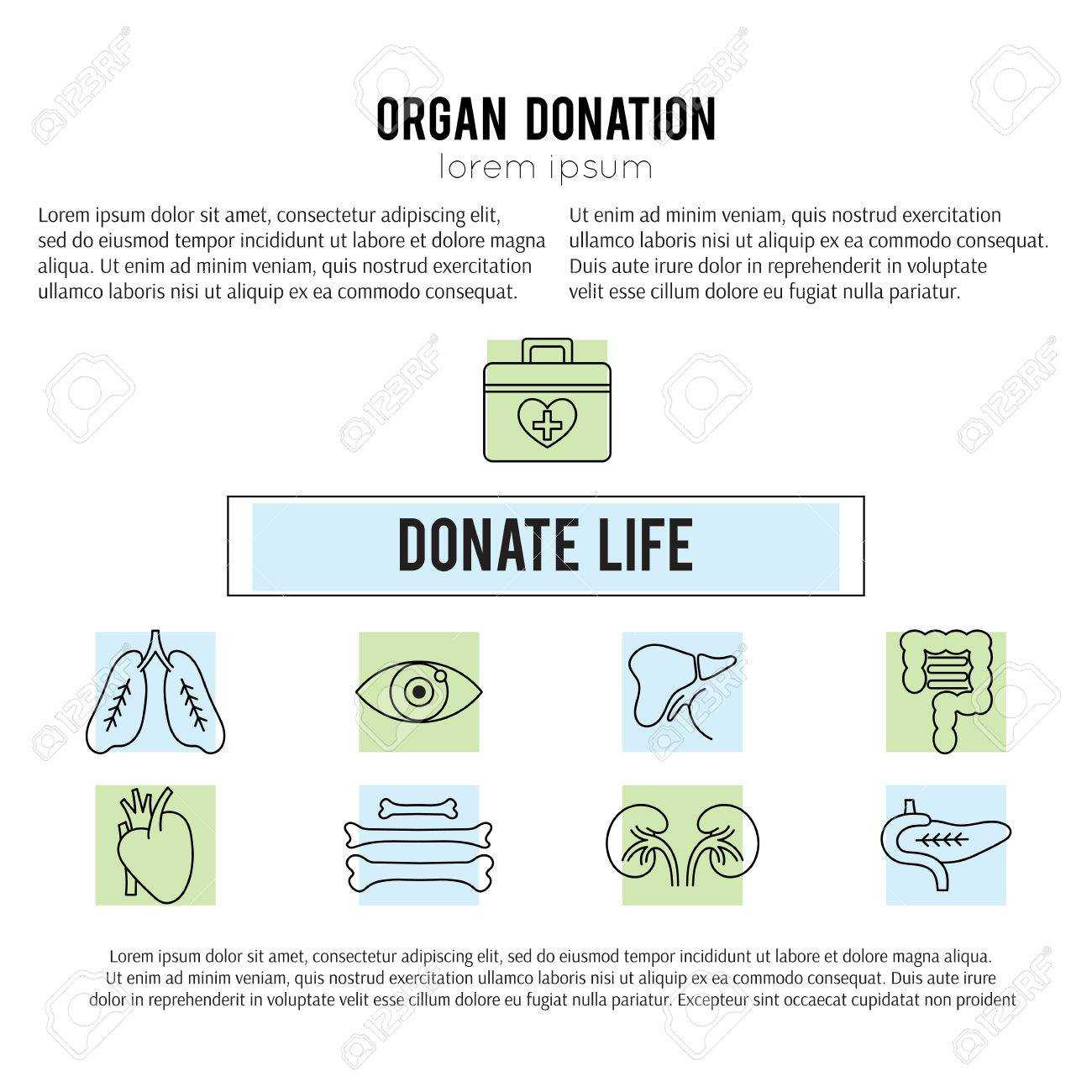 Square Banner Template. Organ Donation Thin Line Icons. Donate.. In Organ Donor Card Template