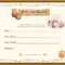 Teddy Bear Birth Certificate | Teddy Bear Crafts, Birth Within Baby Doll Birth Certificate Template