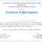 Templates For Certificates Of Participation – Major Intended For Certificate Of Participation Template Doc