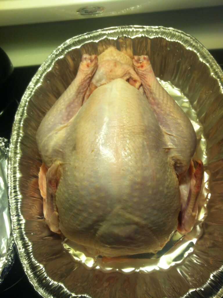 Blank Turkey Template