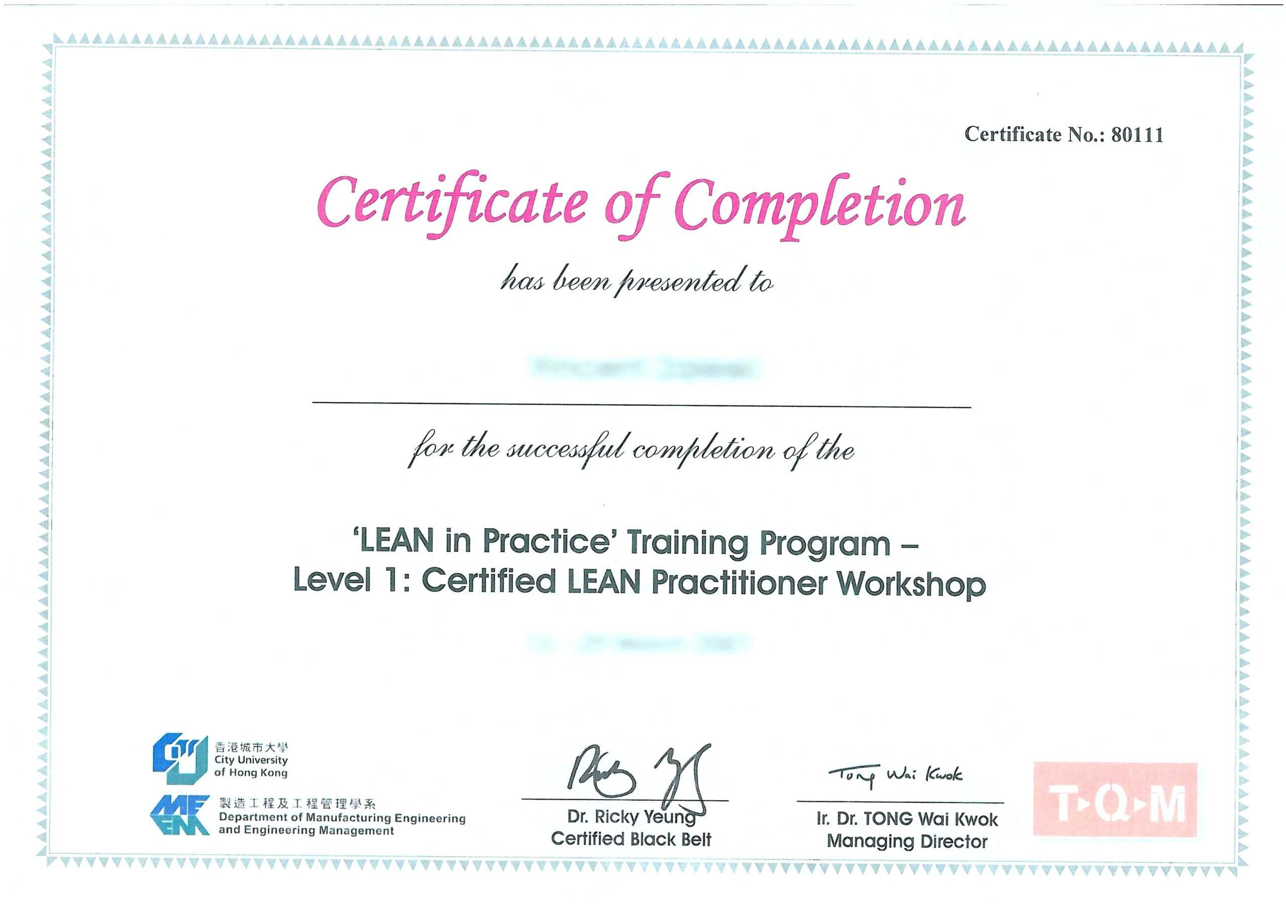 Training Certificate Template Free Download Black Belt Regarding Template For Training Certificate