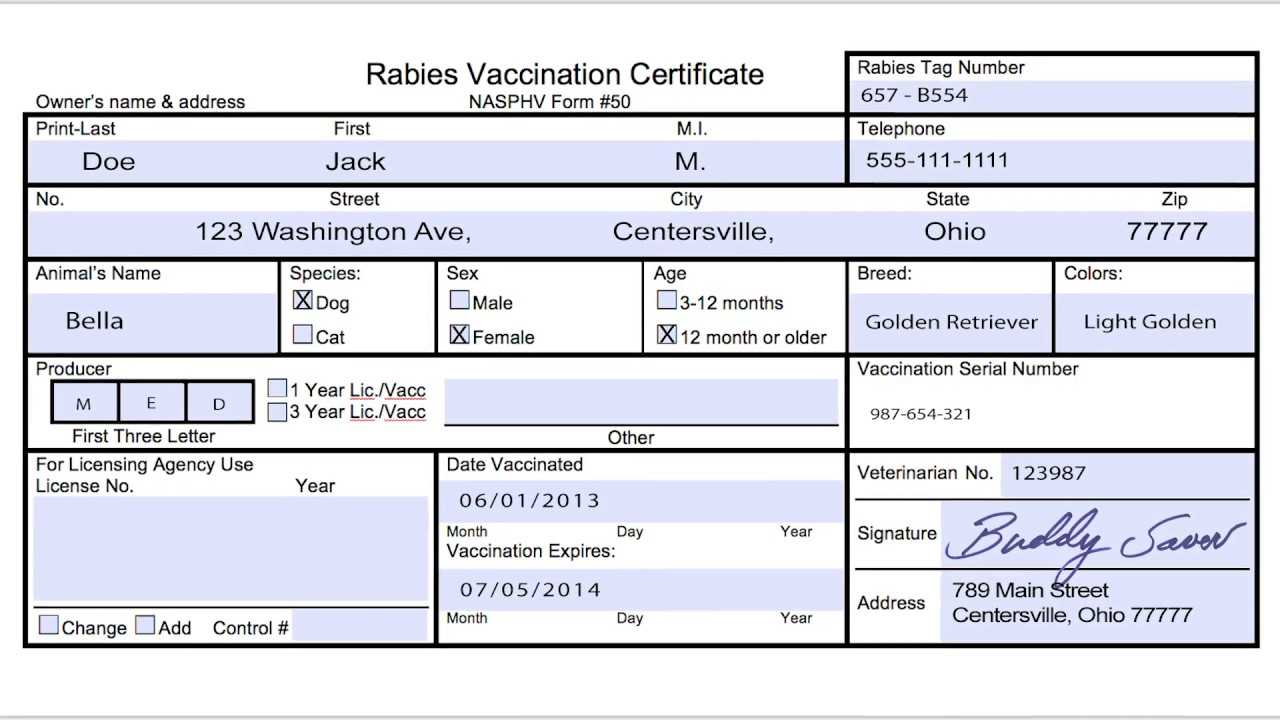 Rabies Vaccine Certificate Template
